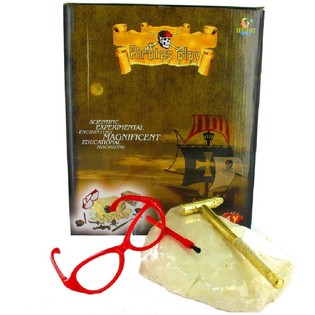 PIRATE TREASURE EXCAVATION SET DELUXE