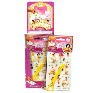 DISNEY PRINCESSES AFWRIJFPLAATJES IN DISPLAY (48st.)