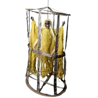 FANTASTIC HANGING IN CAGE (1st.)