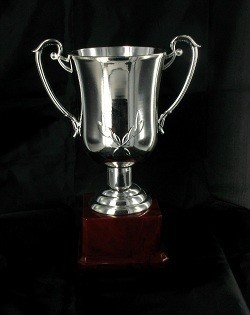 Silver Trophy Cup - Large (23 cm)