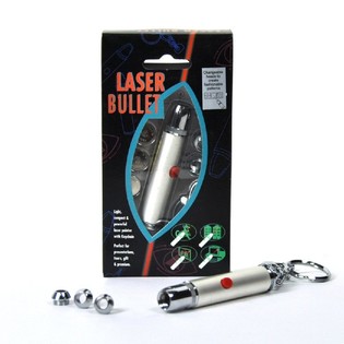 Luxury Keychain with Laser Pointer (10 pcs.)