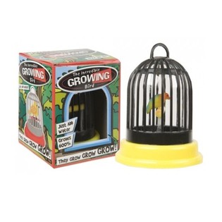 Growing Bird in Cage (24 pcs)