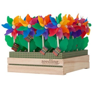 SEEDLING - WINDMILLS IN DISPLAY (20 pcs)