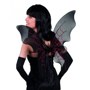 Dressed WINGS (2st.)