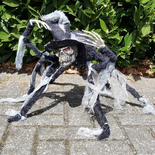 DECORATION WITH MEGA SPIDER SKULL AND LUMINOUS EYES (2st.)