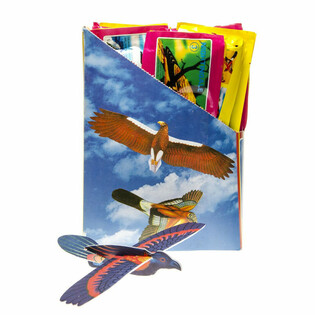 Bird Foam Gliders in Display (48 pcs)