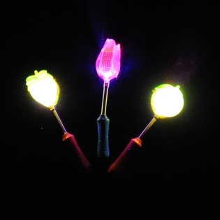 LUMINOUS VEGETABLE BAR (6 pcs.)