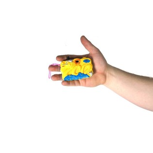 Toy Click Camera - Slide View (12 pcs)